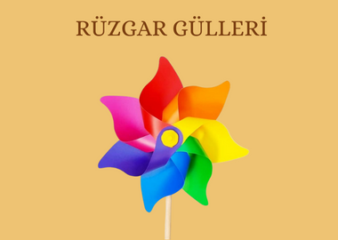 Rüzgar Gülü Çeşitleri